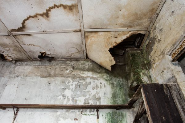 Water Damage Service in Lapeer