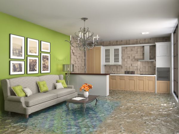 Wet Carpet Drying in Lapeer