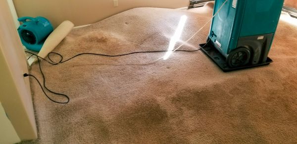 Flood Damage Cleanup in Lapeer