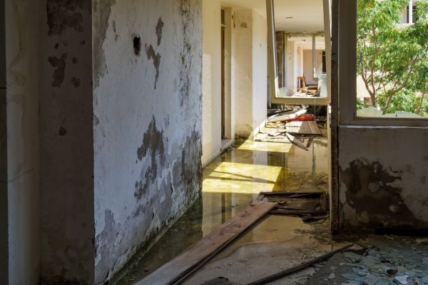 Water Removal Service in Lapeer