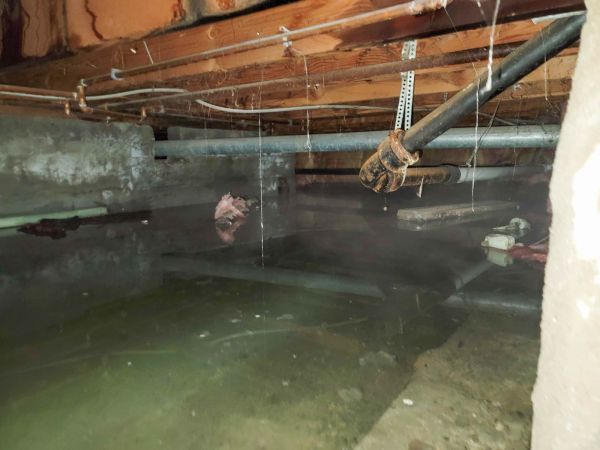 Water Mitigation Service in Lapeer