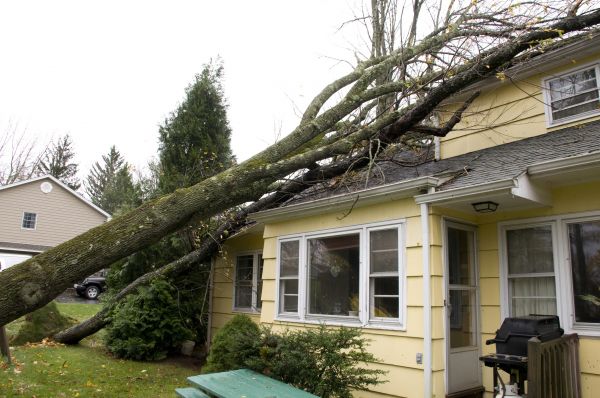 Hurricane Damage Repair in Lapeer