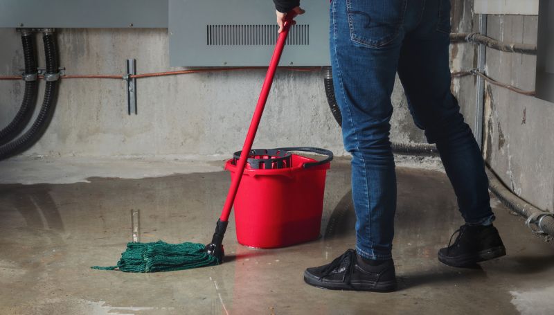 Flooded Basement Cleanup detail